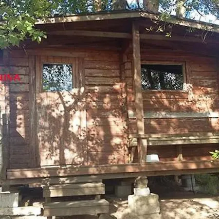 Holiday 5854 *